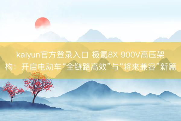 kaiyun官方登录入口 极氪8X 900V高压架构:开启电动车“全链路高效”与“将来兼容”新篇