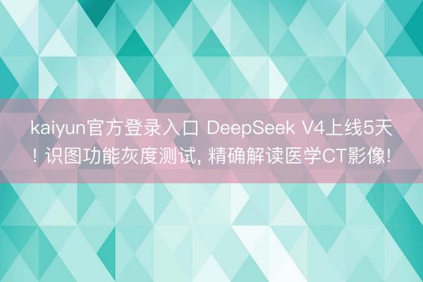 kaiyun官方登录入口 DeepSeek V4上线5天! 识图功能灰度测试， 精确解读医学CT影像!