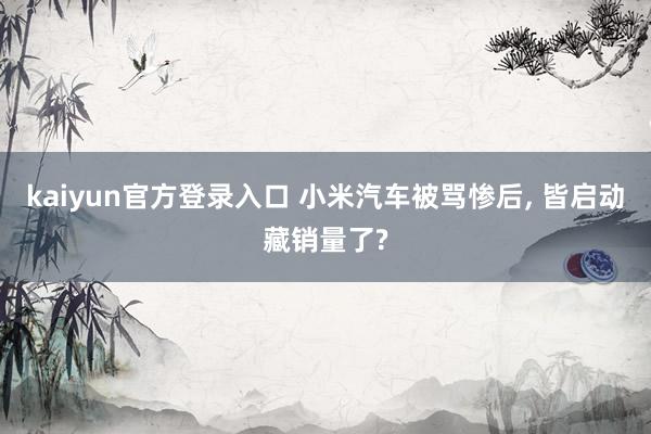 kaiyun官方登录入口 小米汽车被骂惨后， 皆启动藏销量了?