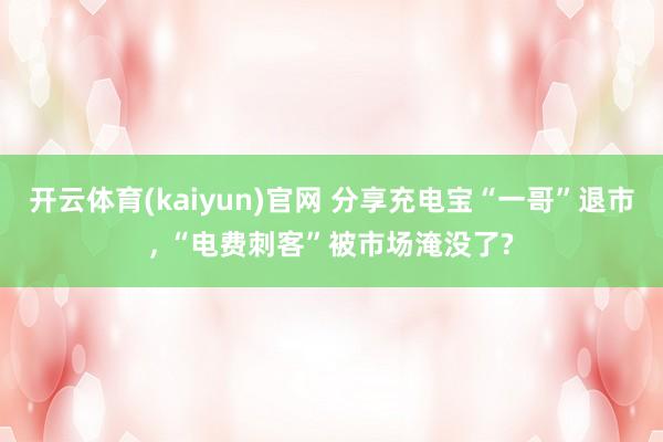 开云体育(kaiyun)官网 分享充电宝“一哥”退市， “电费刺客”被市场淹没了?