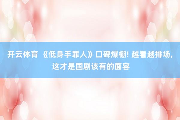 开云体育 《低身手罪人》口碑爆棚! 越看越排场， 这才是国剧该有的面容