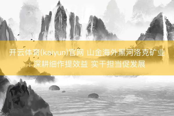 开云体育(kaiyun)官网 山金海外黑河洛克矿业: 深耕细作提效益 实干担当促发展