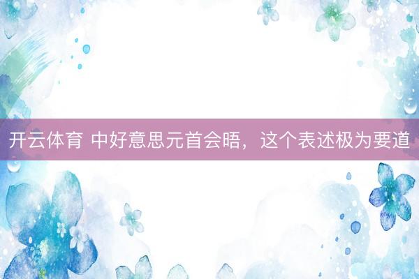 开云体育 中好意思元首会晤，这个表述极为要道