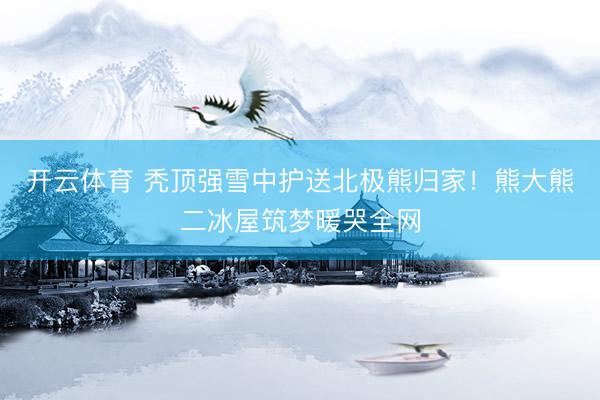 开云体育 秃顶强雪中护送北极熊归家！熊大熊二冰屋筑梦暖哭全网