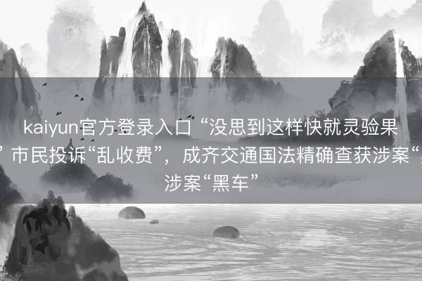 kaiyun官方登录入口 “没思到这样快就灵验果了！” 市民投诉“乱收费”，成齐交通国法精确查获涉案“黑车”